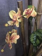 出差必去虎丘区足疗家庭式会所(虎丘区哪家男士spa好)